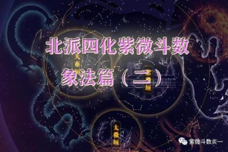 紫微斗数之四化论断法详释: 宫位太极变换