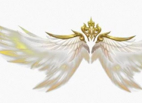 十二星座专属翅膀 十二星座专属翅膀