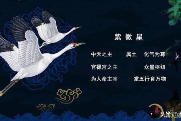 紫薇斗数科星 紫薇斗数科星