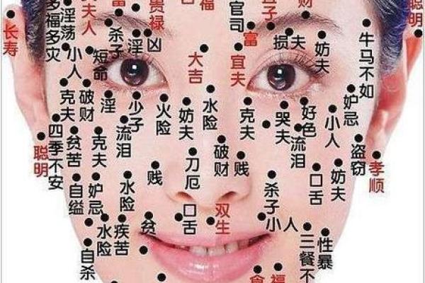 脸上黑痣算命图解吉凶