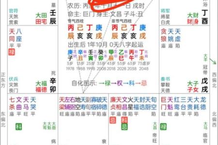 命带紫薇星是什么意思