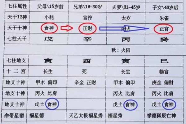 八字十神的喜忌查询 八字十神的喜忌查询