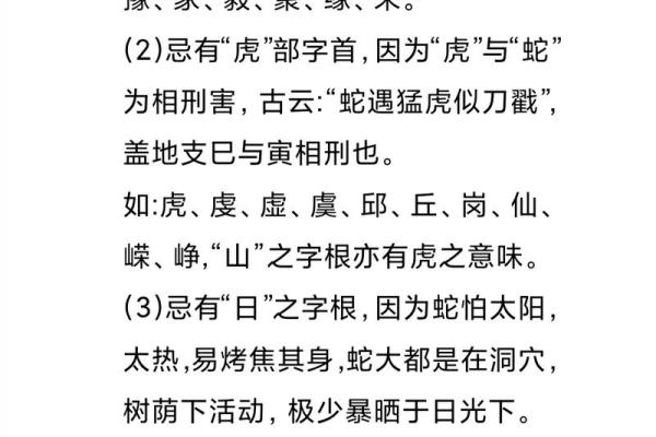 晚上8点出生的属蛇男孩如何起名，适合用什么字姓名