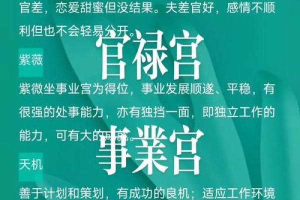 八字官禄宫怎么看婚姻