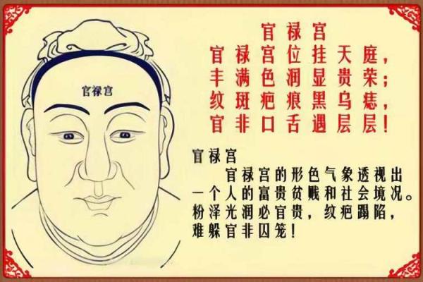 八字官禄宫怎么看婚姻