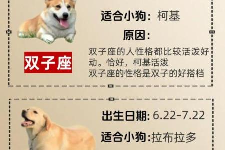 怎么知道狗狗是什么星座的