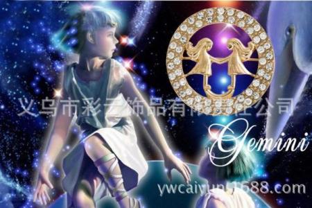十二星座最适合戴什么胸针