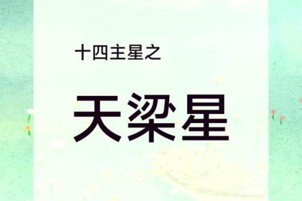 紫薇斗数之星