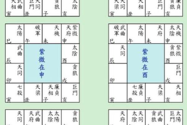 紫薇斗数解析排盘