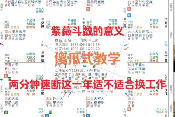 适合学紫薇斗数