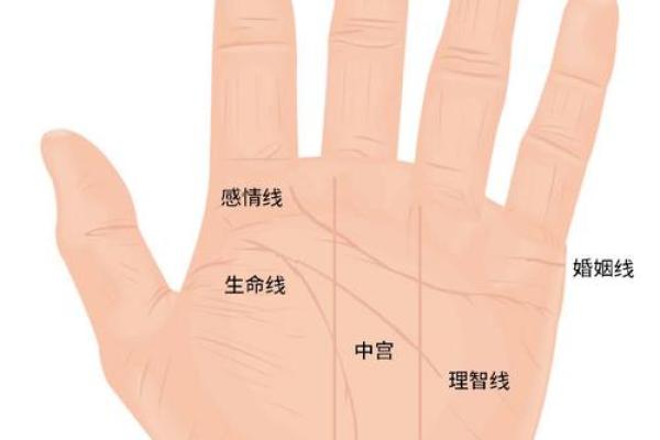 男人断掌手纹算命图解