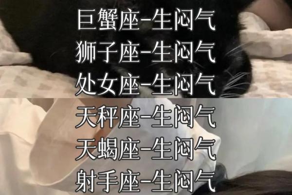 6月14号什么星座双子座性格