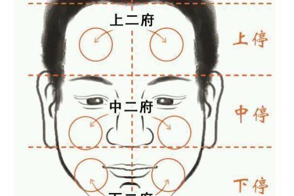 面相算命入门什么是三停 面相基础知识 面相算命入门什么是三停 面相基础知识