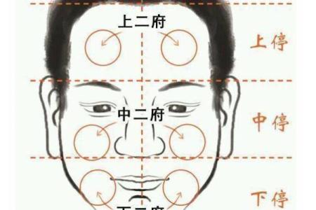面相算命入门什么是三停 面相基础知识