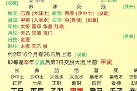 雍正的八字