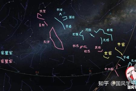 织女星属于什么星座