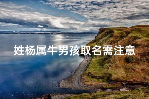 半夜出生的属牛男孩取名常用字有哪些姓名 半夜出生的属牛男孩取名常用字有哪些姓名