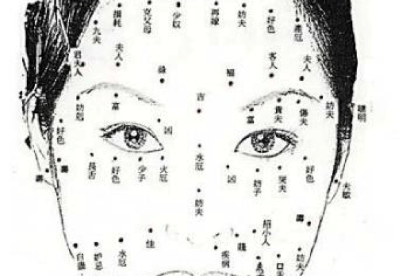 圣母灵签图解大全集最新 圣母灵签图解大全集最新