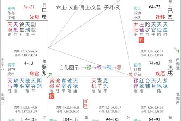 紫薇斗数同垣 紫薇斗数同垣