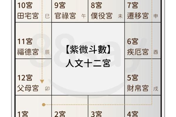 紫微斗数姻缘星 紫薇星盘姻缘? 紫微斗数姻缘星 紫薇星盘姻缘?