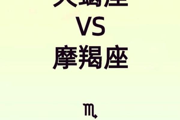 摩羯狮子处女哪个星座厉害啊