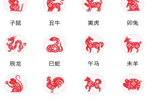 属龙和属鼠的八字合吗 属龙和属鼠的八字合吗