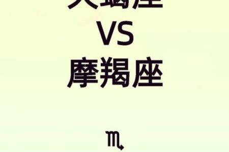 摩羯狮子处女哪个星座厉害啊