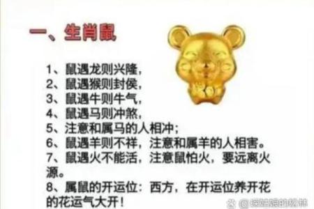 属龙和属鼠的八字合吗