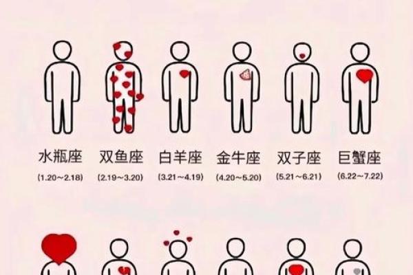 探索十二星座巴卦:揭秘星座与八卦的奥秘 探索十二星座巴卦:揭秘星座与八卦的奥秘