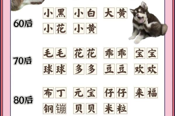 早上八点出生的属狗男孩怎么取名,用什么字好姓名 早上八点出生的属狗男孩怎么取名,用什么字好姓名