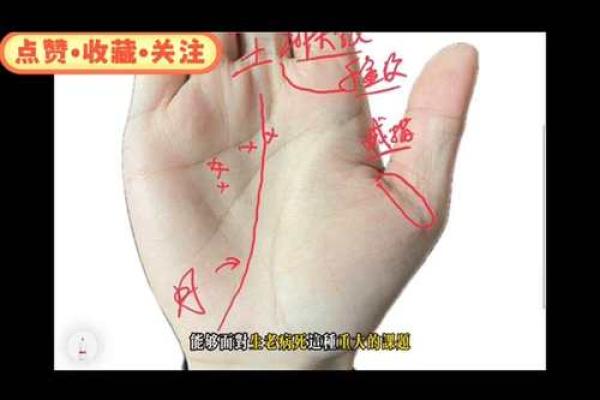 手相算命,从手相看你聪明度有多高? 手相算命,从手相看你聪明度有多高?