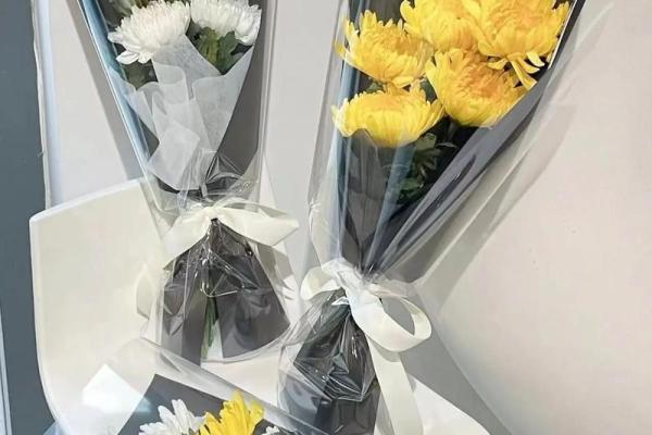 清明节扫墓用什么花风水 清明节扫墓用什么花风水