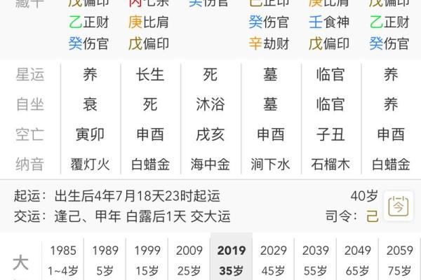 新派八字排盘软件下载 新派八字排盘软件下载
