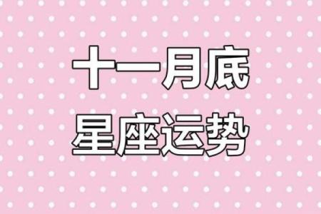 十二星座十一月整体运势