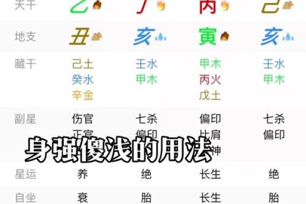 术士命八字