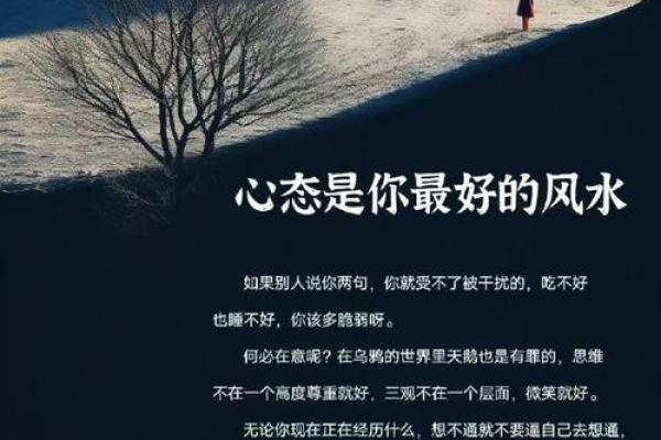 最大的风水是人心,不是风水养人,而是人养风水! 最大的风水是人心,不是风水养人,而是人养风水!