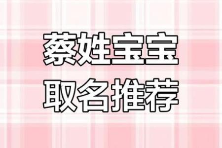 蔡姓男孩名字大全-蔡姓男孩起名字大全-蔡姓名字大全姓名
