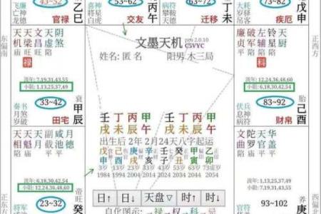 庄式紫薇斗数排盘