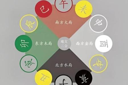 八字中地支半合局是什么意思