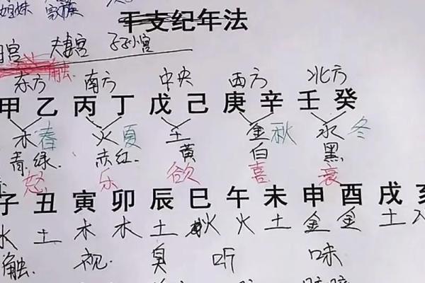 生辰八字下载 生辰八字下载