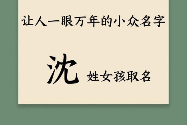 沈姓男孩名字大全-沈姓男孩起名字大全-沈姓名字大全姓名