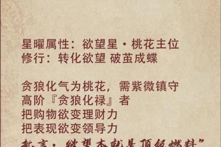 紫薇斗数看修行