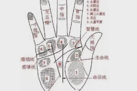 凯帝阿手相算命图解大全05