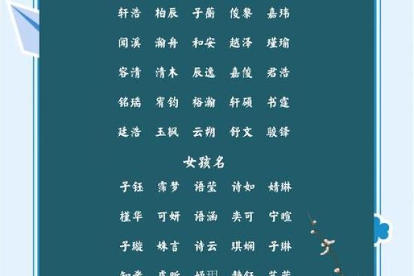 2月份出生的属兔男孩该怎么取名字姓名