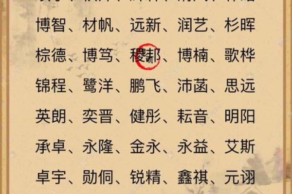 2月份出生的属兔男孩该怎么取名字姓名