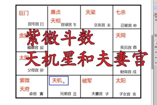 紫微斗数之福德宫与诸星，天梁星在福德宫是什么意思？