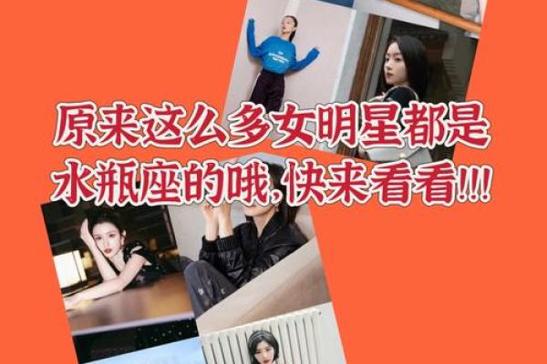 十二星座长大后谁最美水瓶座排第几