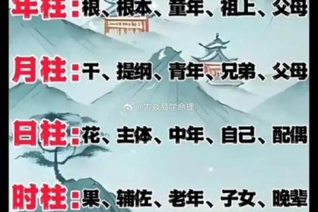 八字算命说会离婚吗,算命说会离婚
