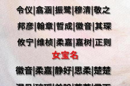 中午12点出生的属蛇男孩如何取名，宜用什么字姓名