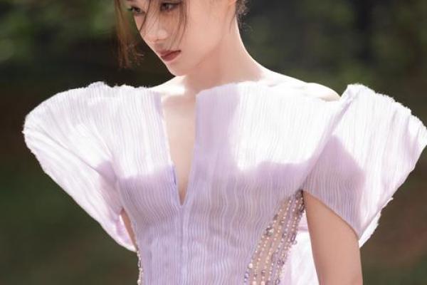 袁姗姗紫薇斗数